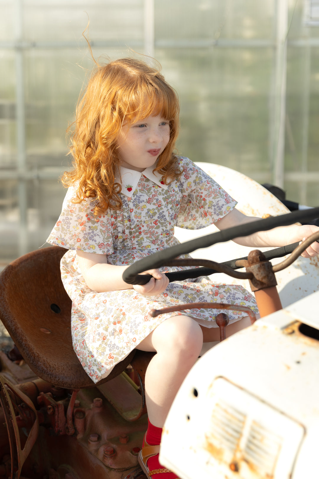 Strawberry Embroidered Dress