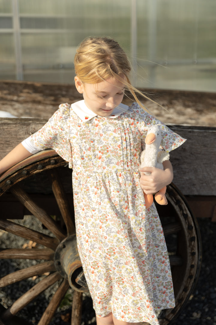 Strawberry Embroidered Dress