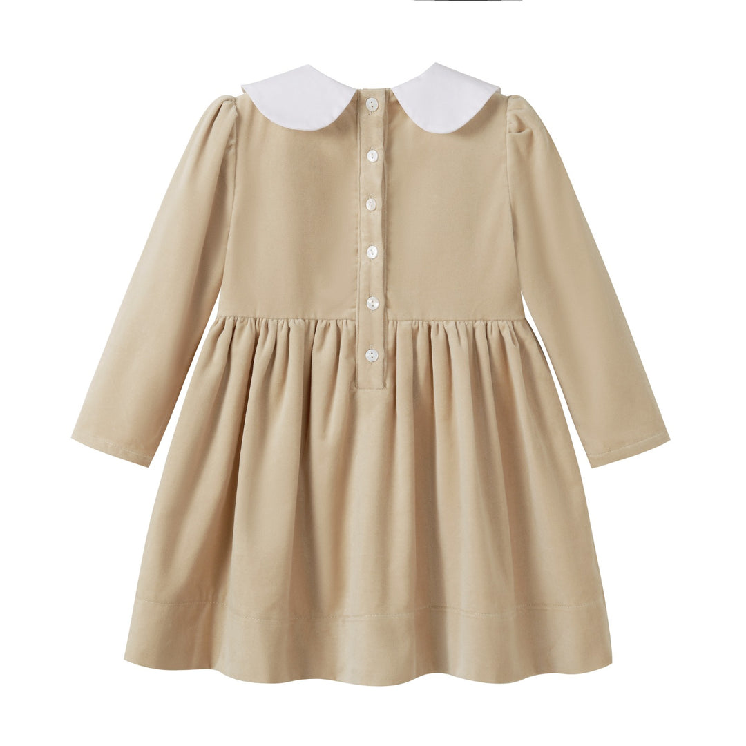 Crushed Velour Tan Tie Dress