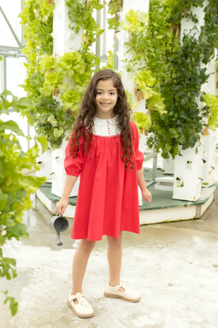Hot Pink Embroidered Dress