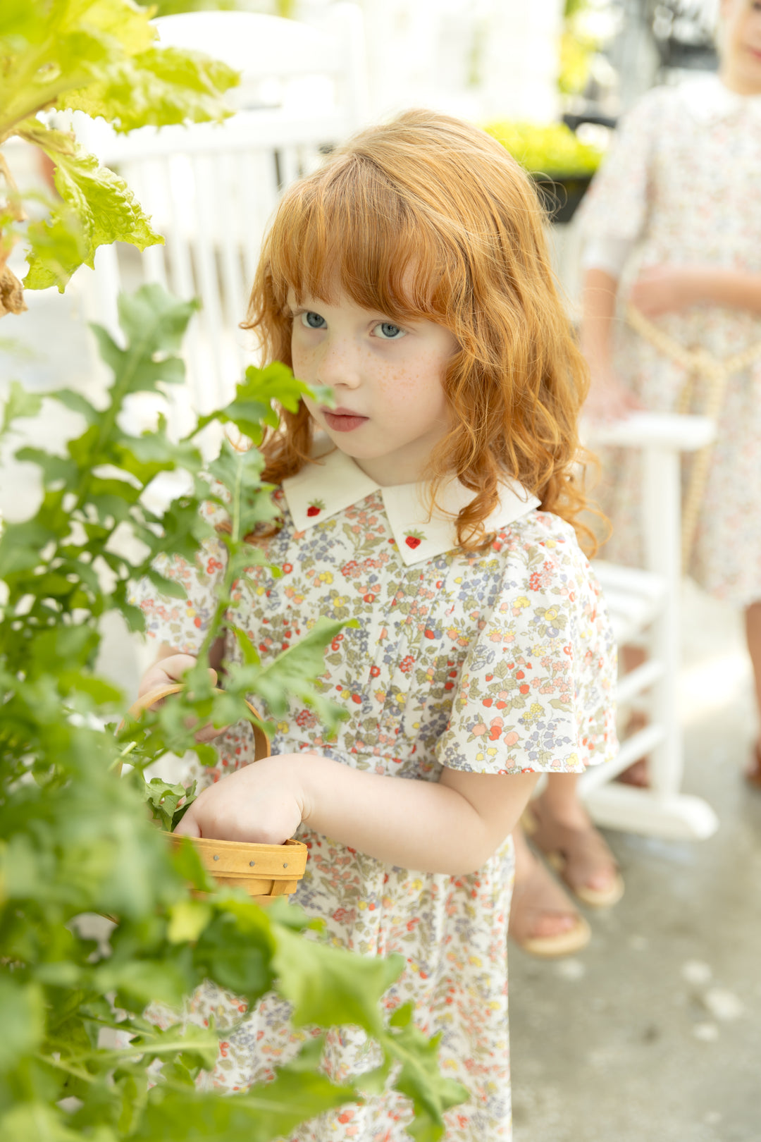Strawberry Embroidered Dress