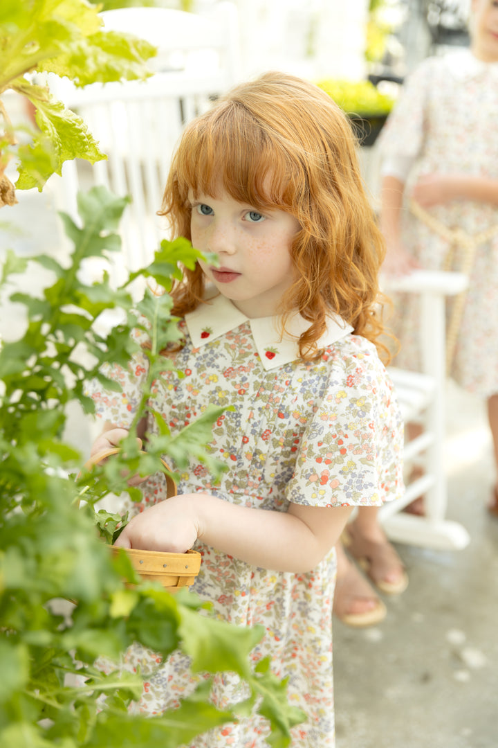 Strawberry Embroidered Dress