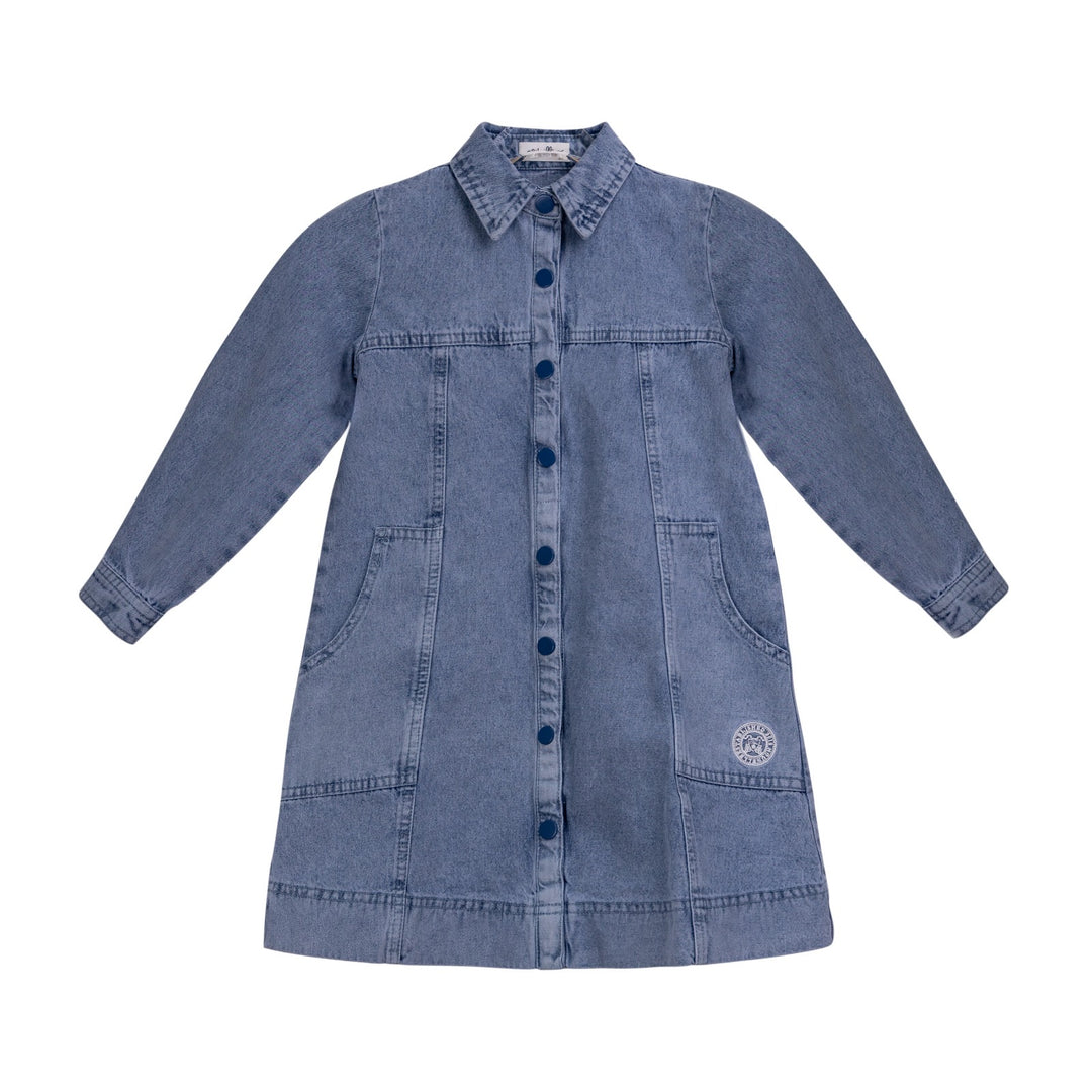 Denim shirt Dress