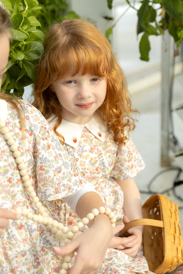 Strawberry Embroidered Dress