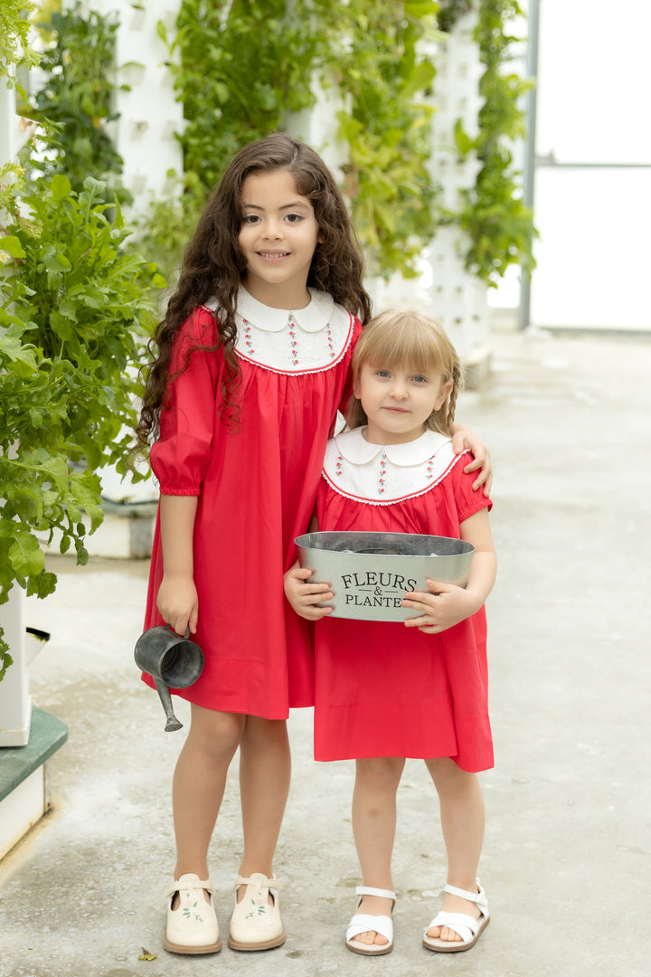 Hot Pink Embroidered Dress