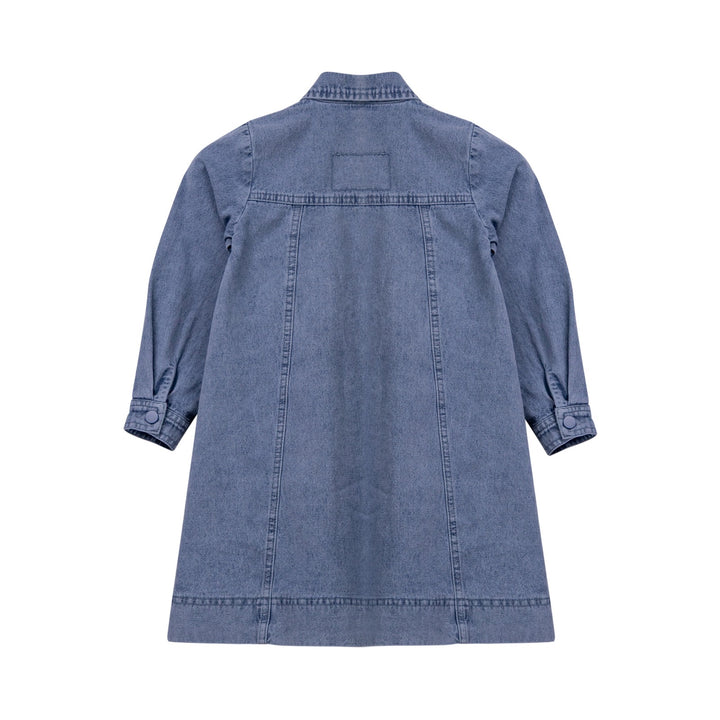 Denim shirt Dress