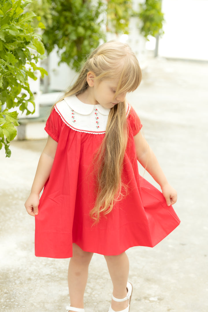 Hot Pink Embroidered Dress
